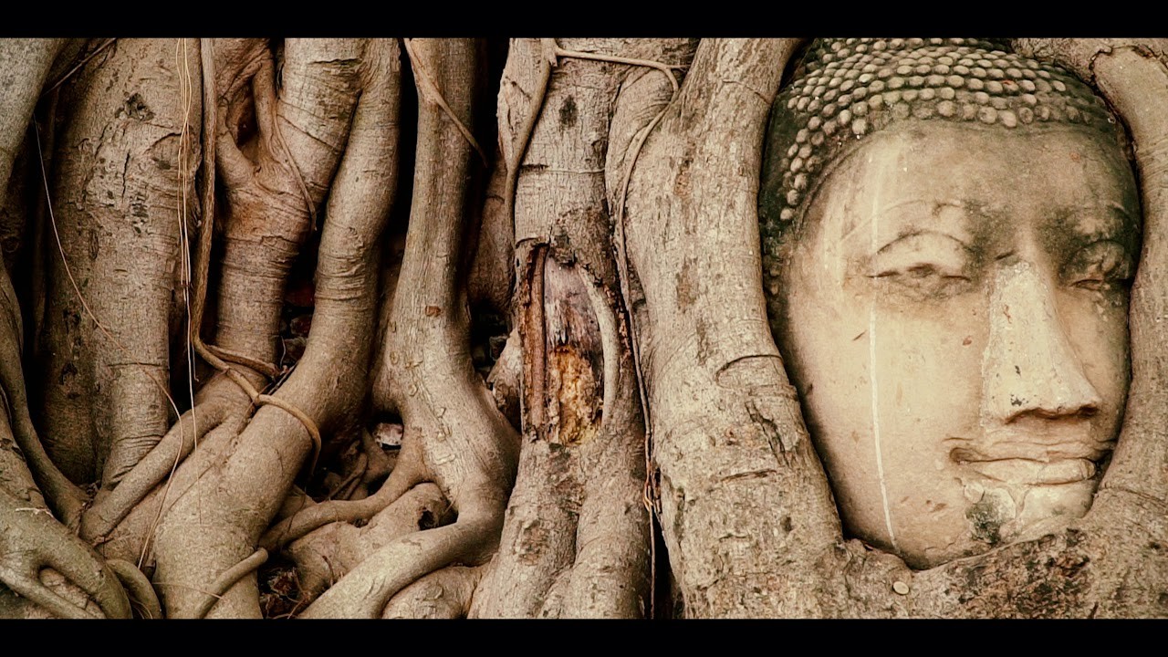 Close Encounters of the Fifth Kind