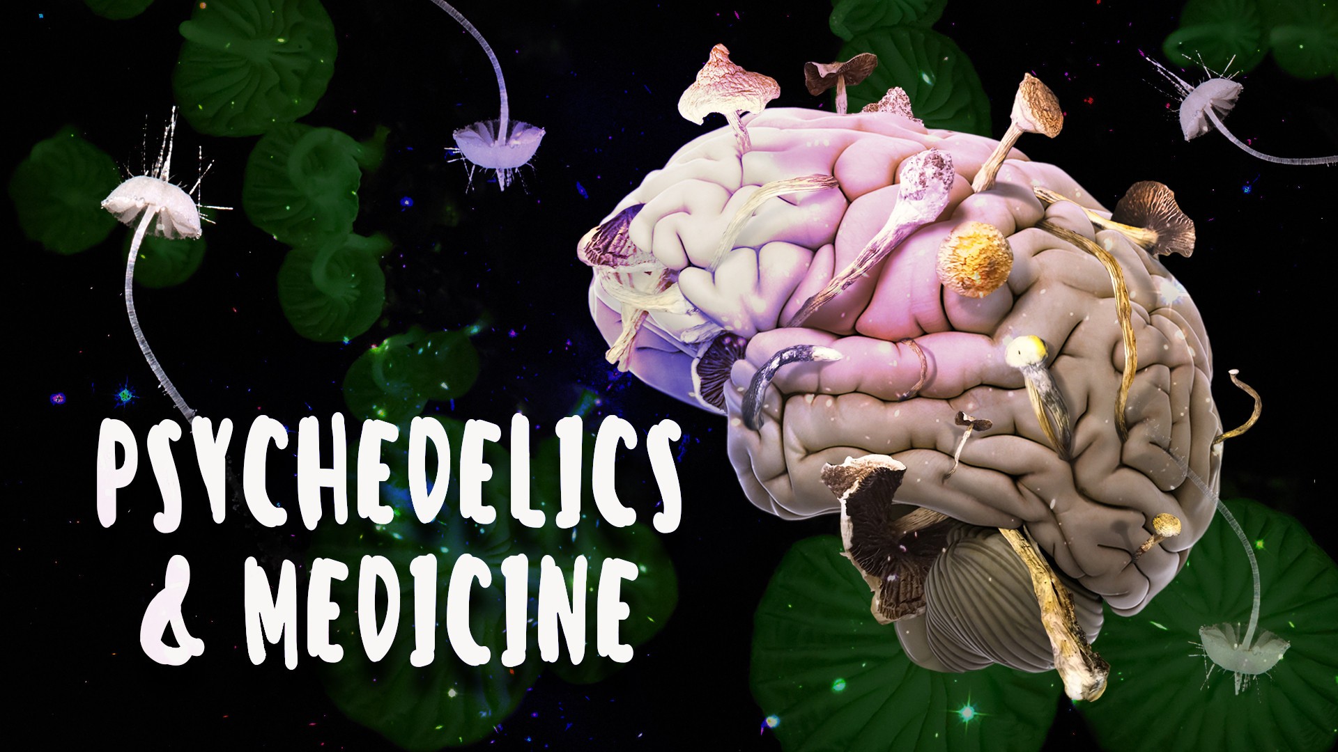 Psychedelics and Medicine